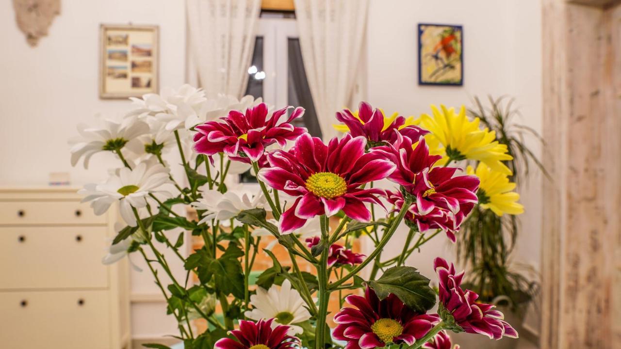 Cote Ensoleille Apartment Pula Bagian luar foto